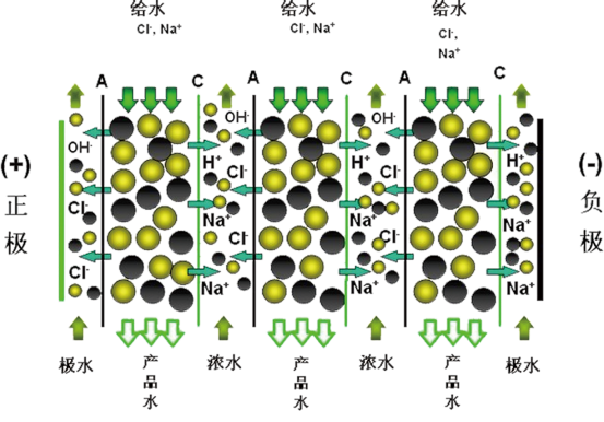 1779864195562221.png 8187cf89-8cfd-4307-b1b1-8bb5b3a4e2b1.png